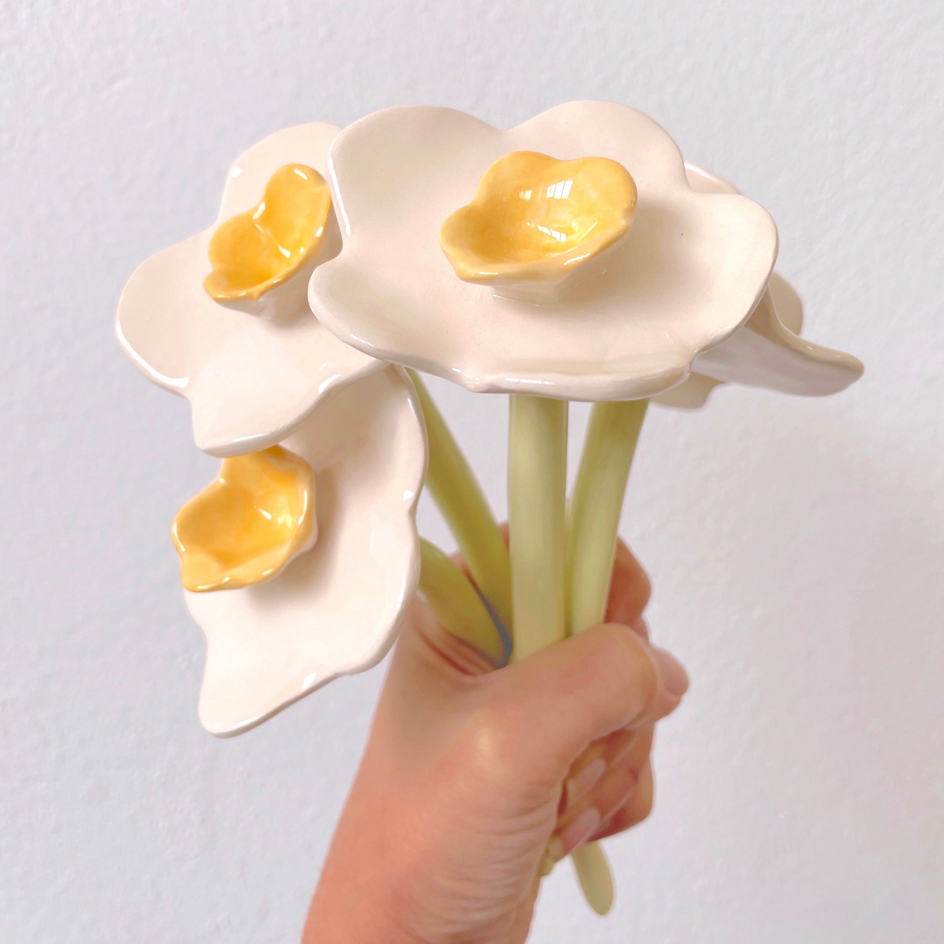 Narciso  Colección Hanami