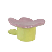 Joyero Spring