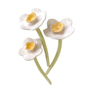 Narciso  Colección Hanami