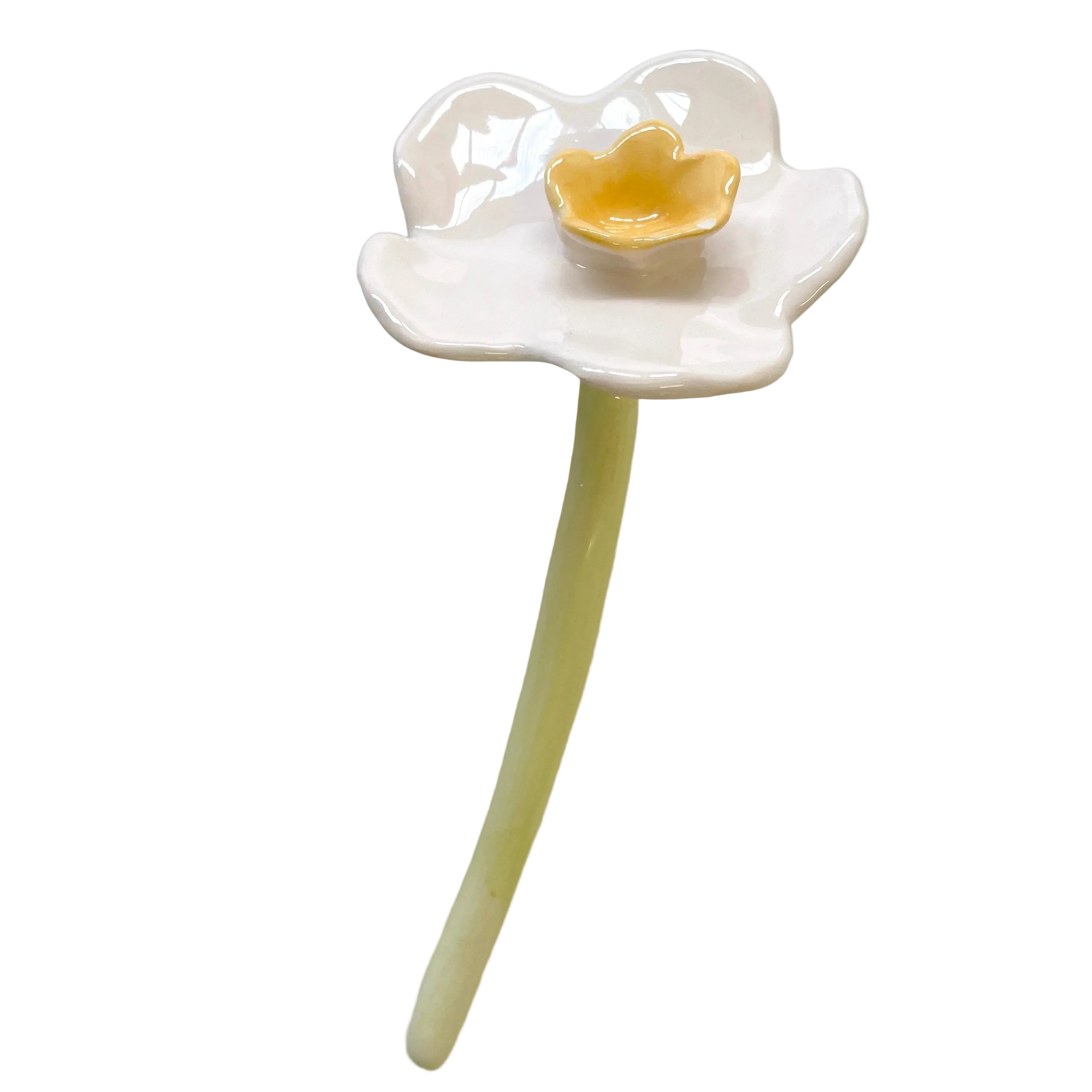 narciso de ceramica flor duraderá