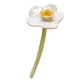 Narciso