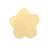 Plato Blume