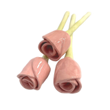 Rosas