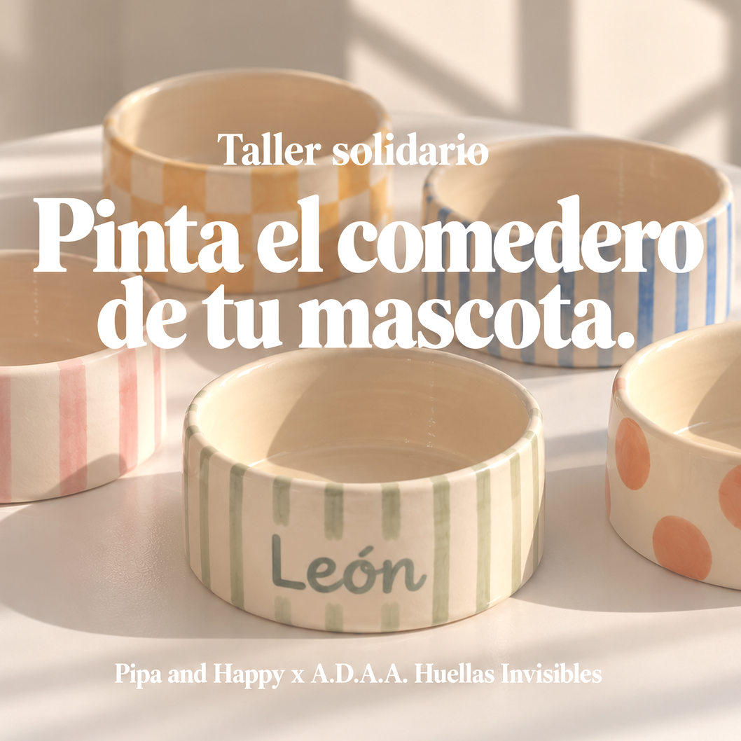 taller pinta tu comedero o bebedero personalizado de cerámica