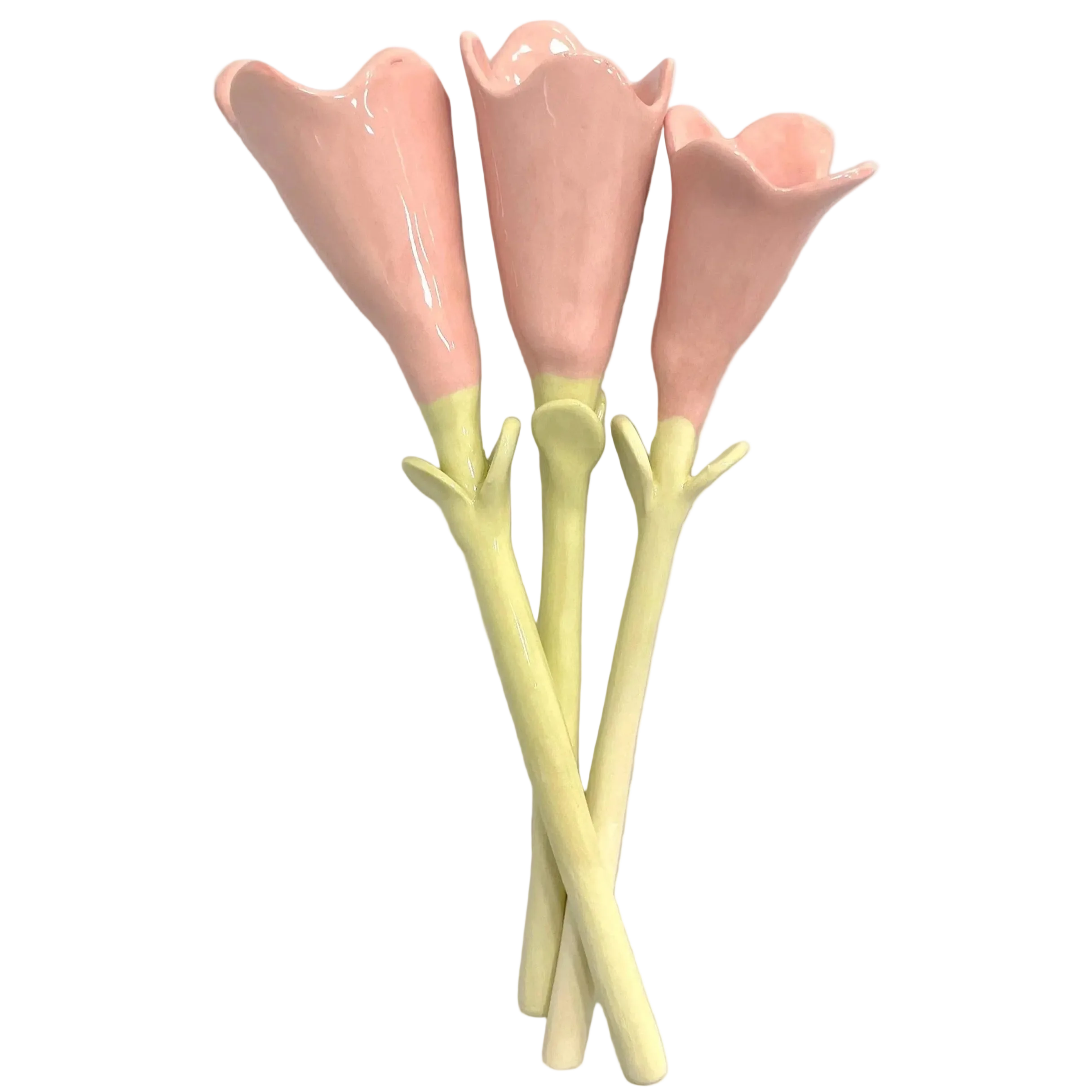 tulipán de color rosa 
