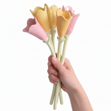 Ramo 6 tulipanes Colección Hanami